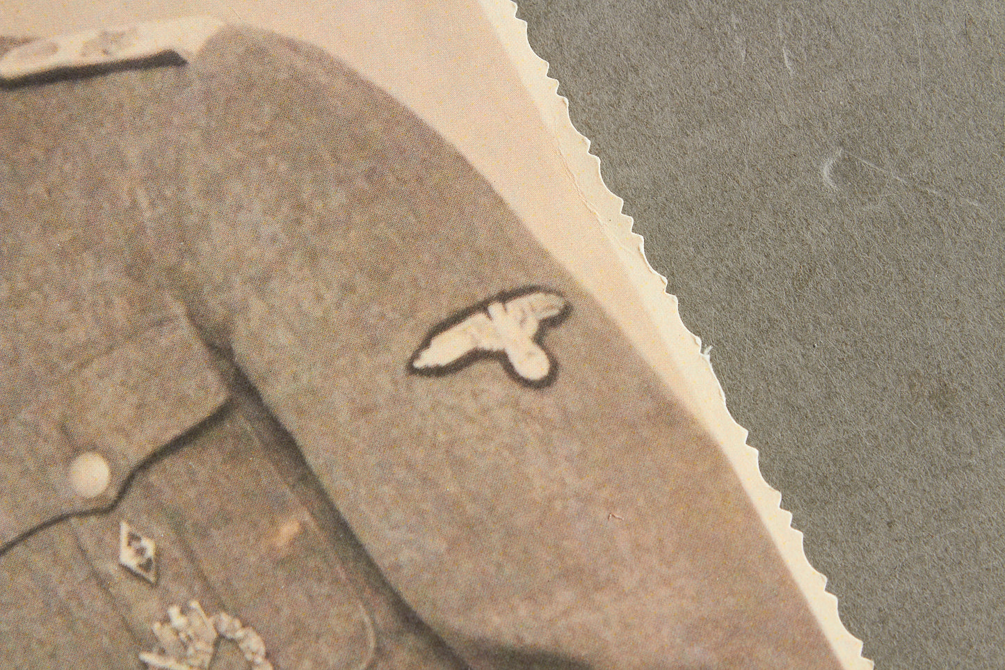 Waffen-SS "Adolf Hitler" Picture. With HJ "Goldene Abzeichen" A5-size. Rare. Original.