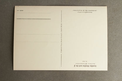 Waffen-SS Postcard. Rare. Original.