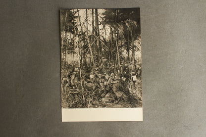 Waffen-SS Postcard. Rare. Original.