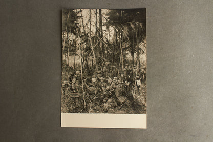 Waffen-SS Postcard. Rare. Original.