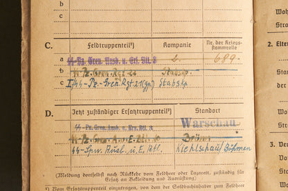 Schslewig Waffen-SS "Totenkopf" Soldbuch (SS-Pz.Gren. Ausb.u.Ers.Btl.3). Great Totenkopf pictures! Rare. Original.