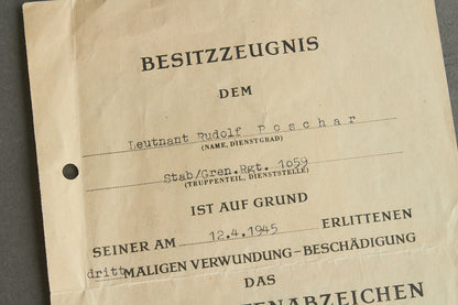 Grouping incl. Wound badge in Silver urkunde. Original.