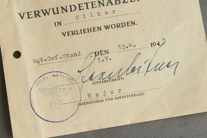 Grouping incl. Wound badge in Silver urkunde. Original.