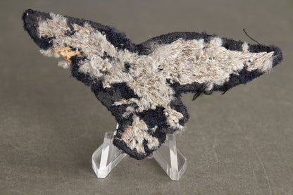 Very Early Luftwaffe "Unteroffizier" Breast Eagle. Tunic removed. Hard to find. Original.