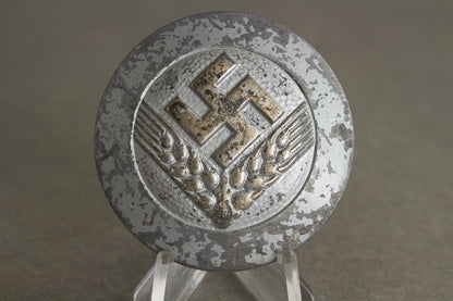 RADwJ (Reichsarbeitsdienst der weiblichen Jugend) "Arbeitsmaid" Brosche. Original.