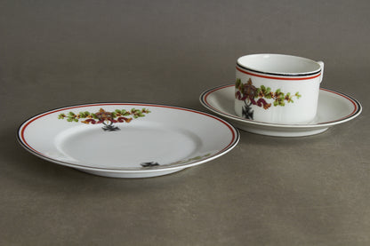 Matching set of "Patriotische Kaffeetasse & Teller" Commemorative Coffee Cup and Plate. Bright colors and no damages. Original.