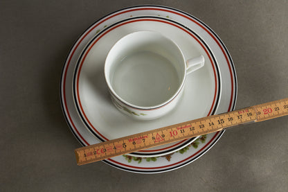 Matching set of "Patriotische Kaffeetasse & Teller" Commemorative Coffee Cup and Plate. Bright colors and no damages. Original.