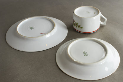 Matching set of "Patriotische Kaffeetasse & Teller" Commemorative Coffee Cup and Plate. Bright colors and no damages. Original.